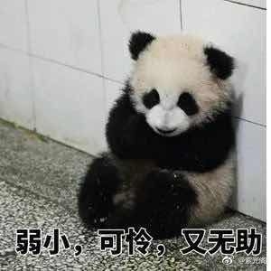 【娱情小卖部】三十二期：紫光阁三条微博批PG One，粉丝联名抵制这家饭店，已凉透