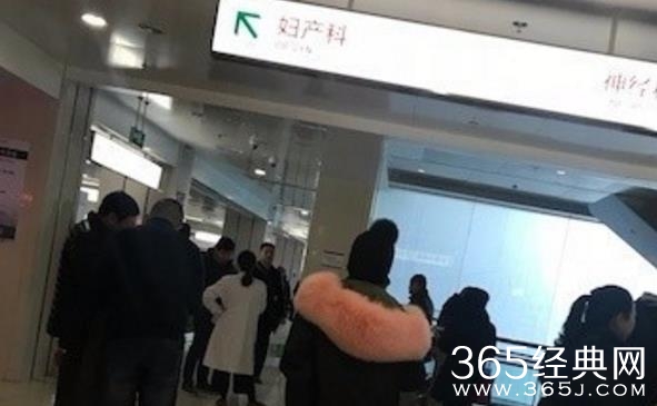 海清经纪人承认海清已怀二胎 海清怀孕多久了