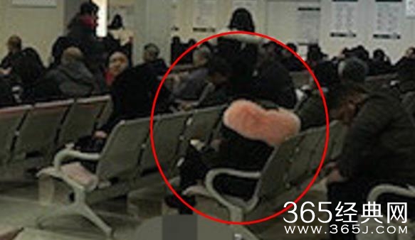 海清怀二胎是男孩女孩 海清的预产期是什么时候