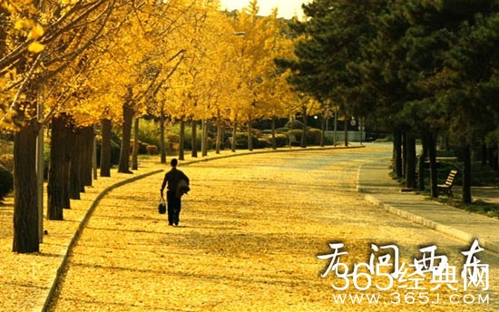 无问西东电影中有哪些经典台词以及名句 无问西东电影经典台词介绍