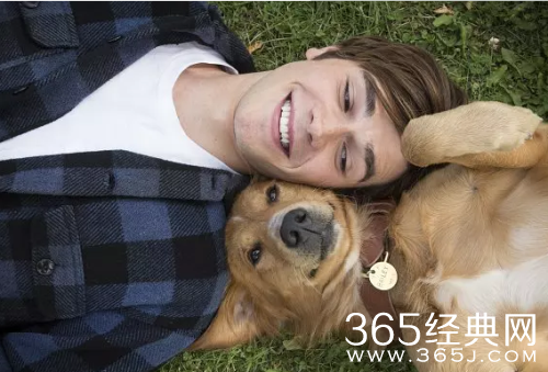 2018有什么关于狗的感人电影 经典狗主题电影推荐