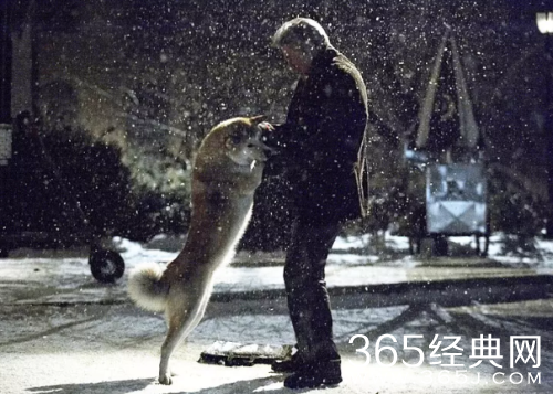 2018有什么关于狗的感人电影 经典狗主题电影推荐