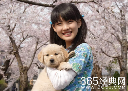 2018有什么关于狗的感人电影 经典狗主题电影推荐