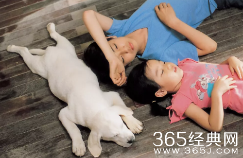 2018有什么关于狗的感人电影 经典狗主题电影推荐