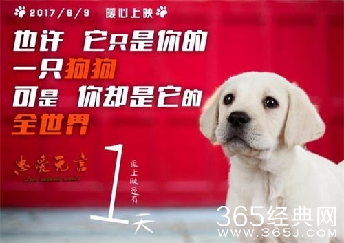 2018有什么关于狗的感人电影 经典狗主题电影推荐