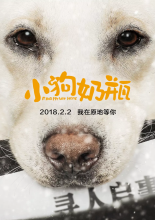 2018狗年有哪些狗主题电影上映 2018狗主题电影上映时间表