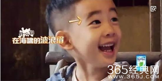 刘芸为什么坚决不生二胎 刘芸坚决不生二胎原因