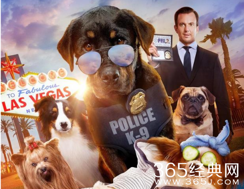 秀犬好看么讲述了什么故事 秀犬电影剧情解析