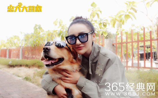 忠犬大营救电影好看吗 忠犬大营救电影有什么看点 亮点在哪介绍