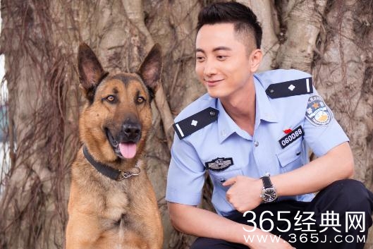 警犬来啦花少的嗅觉能恢复吗 警犬来啦花少的嗅觉有没有恢复