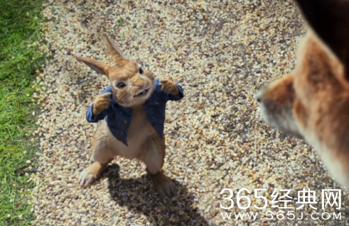 比得兔在哪拍摄 比得兔拍摄地介绍