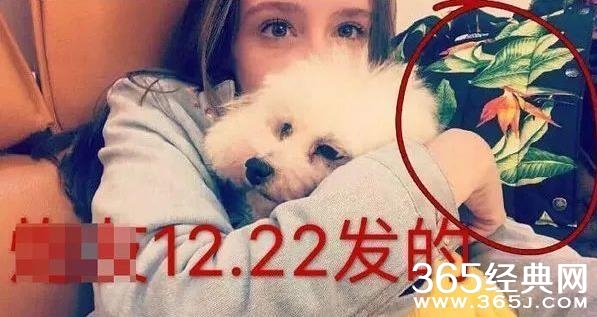 【红绿鲤娱】第二十七期：中国女粉丝有多可怕？ 陈伟霆女友Bruna被陈伟霆女粉丝吓到不敢承认恋情