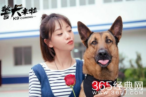 【最夯剧集社】第二十八期：继《美人为陷》后再度挑战女警的万年女配杨蓉，另一部新剧来了