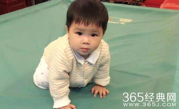 杨子黄圣依小儿子正面照曝光 样子黄圣依小儿子长什么样