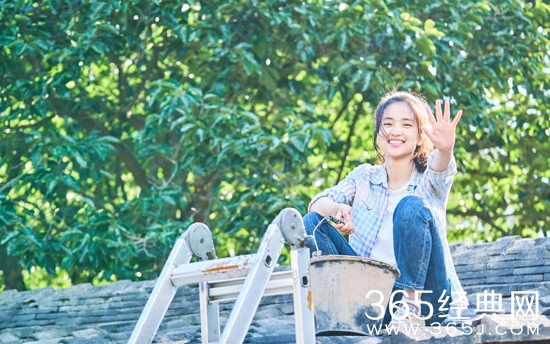 小森林电影主要讲了什么故事 小森林电影故事背景介绍