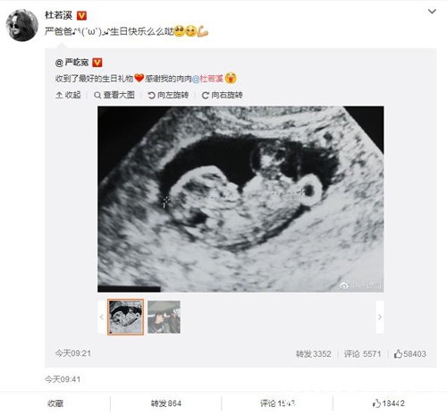 杜若溪怀的男孩女孩 严屹宽杜若溪孩子叫什么