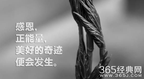 灾难再大，也大不过人心