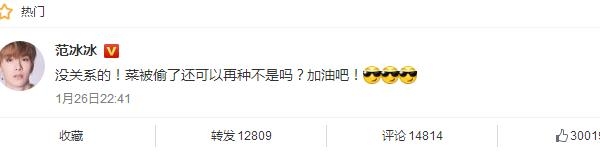 范冰冰鼓励范丞丞菜被偷可以再种 范丞丞菜被偷了是什么意思