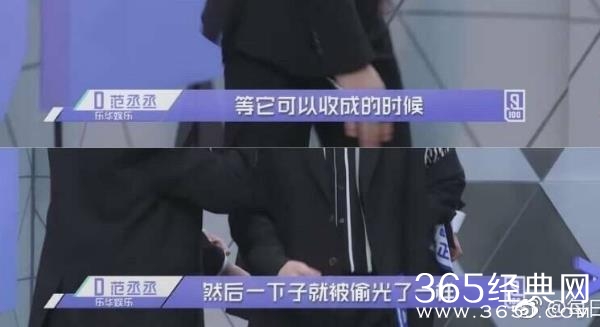 范冰冰鼓励范丞丞菜被偷可以再种 范丞丞菜被偷了是什么意思