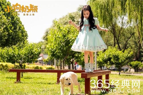 小狗奶瓶电影感人么 小狗奶瓶电影适合小朋友看么