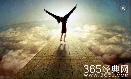 给蜜蜂留下三分蜜