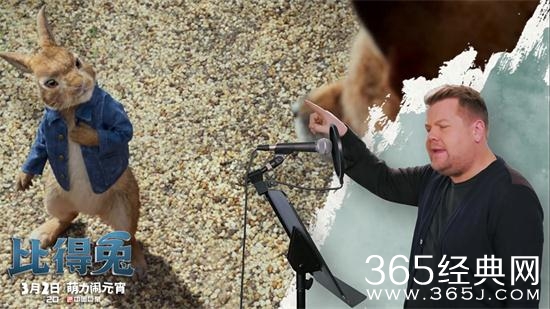 比得兔各角色性格如何 比得兔角色性格解析