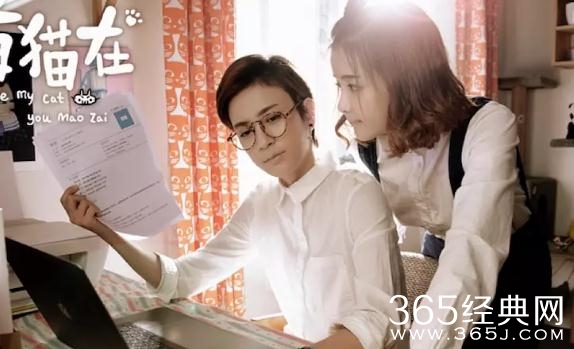 有猫在麦麦是谁演的 王京莉个人资料介绍