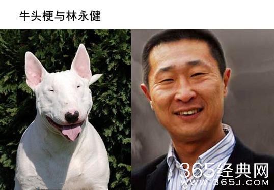 【卫视剧能说】第六十八期：孙红雷只是牛头梗，这部电视剧的男主却是撞脸整个动物界！