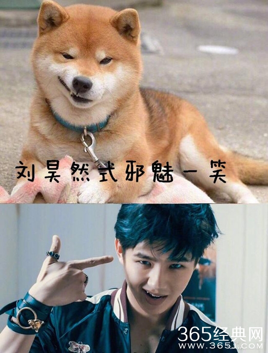 【卫视剧能说】第六十八期：孙红雷只是牛头梗，这部电视剧的男主却是撞脸整个动物界！