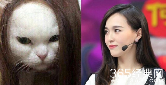 【卫视剧能说】第六十八期：孙红雷只是牛头梗，这部电视剧的男主却是撞脸整个动物界！