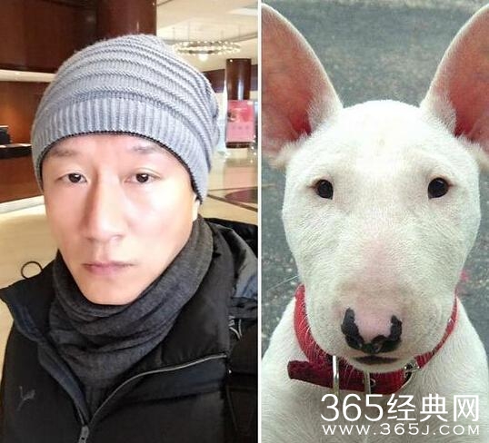 【卫视剧能说】第六十八期：孙红雷只是牛头梗，这部电视剧的男主却是撞脸整个动物界！