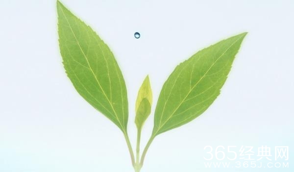 你的梦想能力是什么