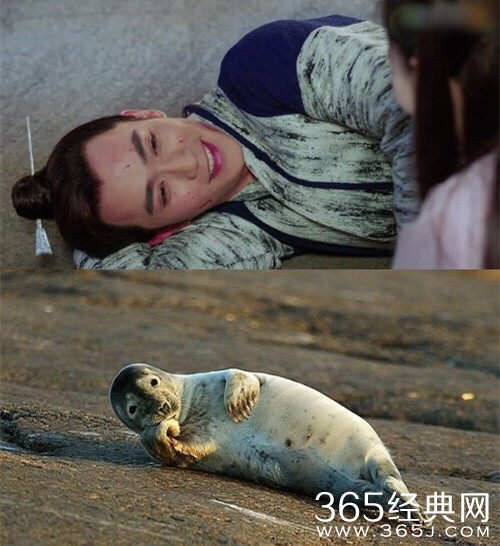 【卫视剧能说】第六十八期：孙红雷只是牛头梗，这部电视剧的男主却是撞脸整个动物界！