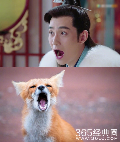 【卫视剧能说】第六十八期：孙红雷只是牛头梗，这部电视剧的男主却是撞脸整个动物界！