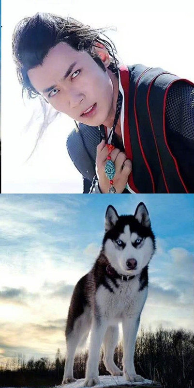 【卫视剧能说】第六十八期：孙红雷只是牛头梗，这部电视剧的男主却是撞脸整个动物界！