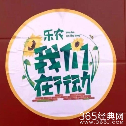 我们在行动嘉宾阵容如何 揭秘我们在行动完整版嘉宾阵容