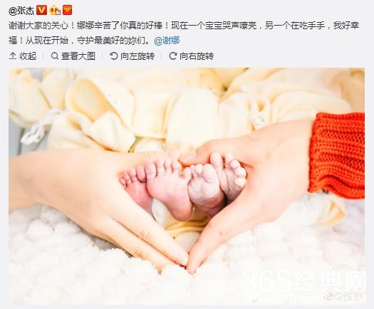 谢娜为什么提前剖腹产女 谢娜为什么选择2月1号产女