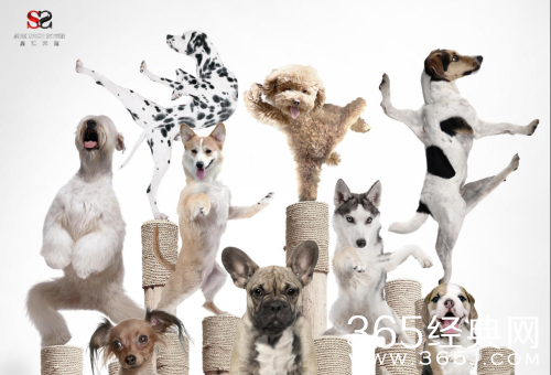 营救汪星人电影为何改档 营救汪星人电影改档与GAI事件有关么