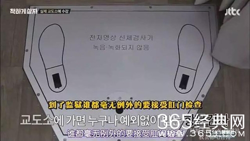 【综艺甜饼】第65期：现在的综艺梗全都玩烂了，这档综艺绝对惊讶到你无话可说！