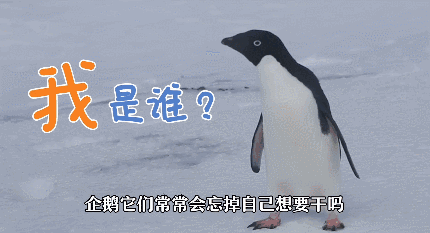 【侃侃殿影】第六十九期：超越马戏之王单日票房第一，南极之恋为何没有豆瓣评分?