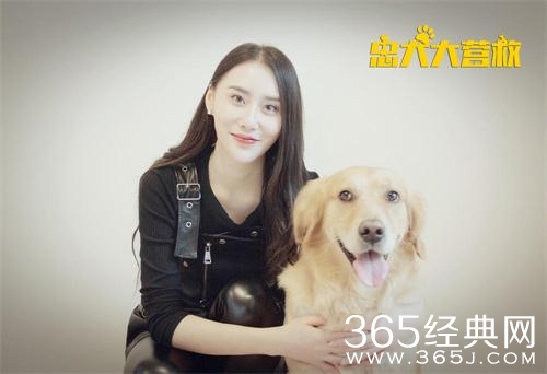 2018狗年有哪些狗主题电影上映 2018狗主题电影上映时间表