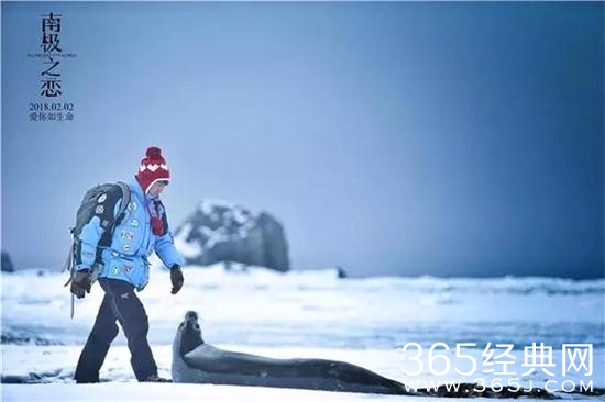 【侃侃殿影】第六十九期：超越马戏之王单日票房第一，南极之恋为何没有豆瓣评分?
