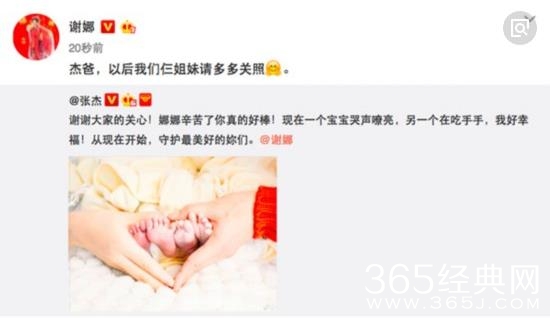 网曝谢娜产女入院七天花掉巨款 谢娜产女一共花了多少钱