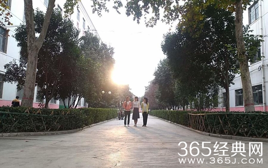 爱情的单程列车电影将于什么时候上映 爱情的单程列车电影上映时间介绍