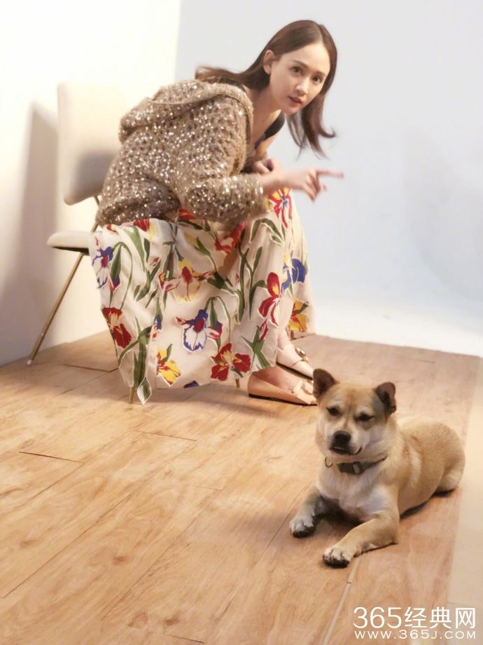 陈乔恩暴瘦是怎么回事 陈乔恩暴瘦是因为酒驾吗