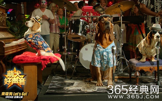 萌犬好声音电影主要讲了什么故事 萌犬好声音电影故事背景介绍