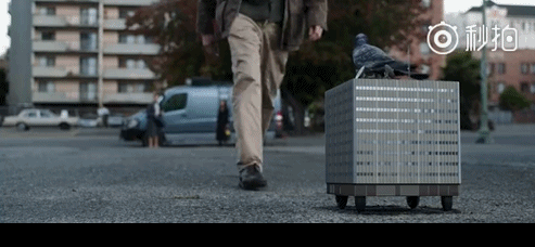 【就是个水槽】第三十三期：蚁人2预告出现凯蒂猫？是少女心死侍登场？蚁人或称为打败灭霸关键