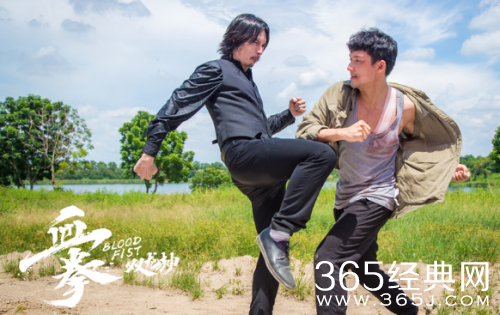 血拳之双龙劫在哪可以看 血拳之双龙劫在线观看地址分享