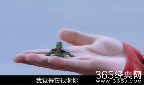 【卫视剧能说】第七十三期：种“烧焦的乌鸦”，取“内丹精元”，香蜜沉沉烬如霜你约吗？