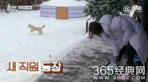 【综艺甜饼】第68期：《孝利家民宿2》开播，林允儿这一表现情商低，网友还夸赞连连